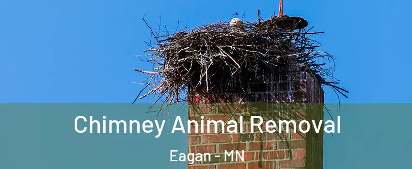 Chimney Animal Removal Eagan - MN