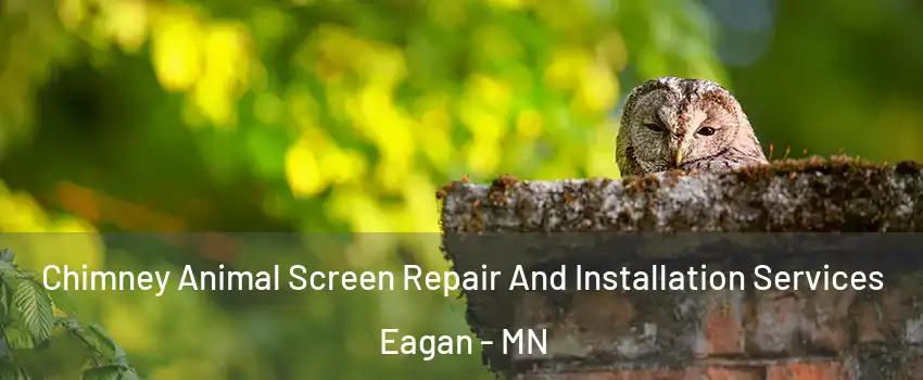  Chimney Animal Screen Repair And Installation Services Eagan - MN