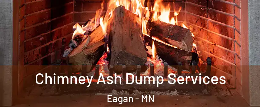  Chimney Ash Dump Services Eagan - MN