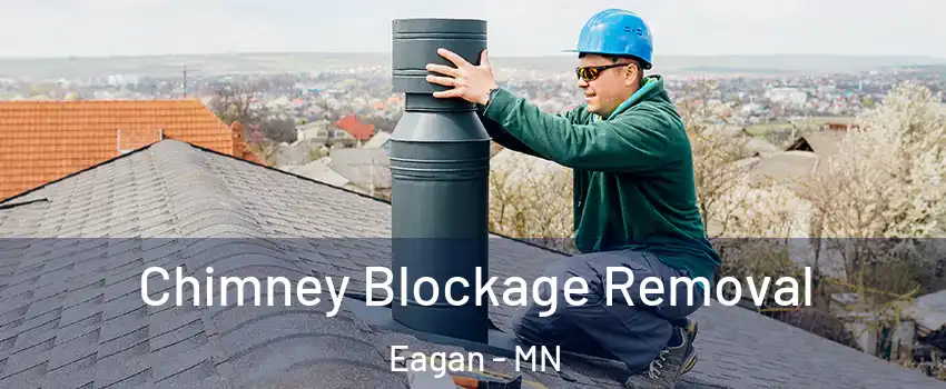 Chimney Blockage Removal Eagan - MN