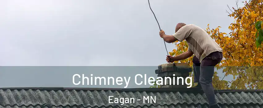  Chimney Cleaning Eagan - MN