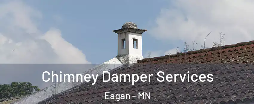  Chimney Damper Services Eagan - MN