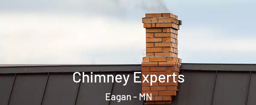 Chimney Experts Eagan - MN