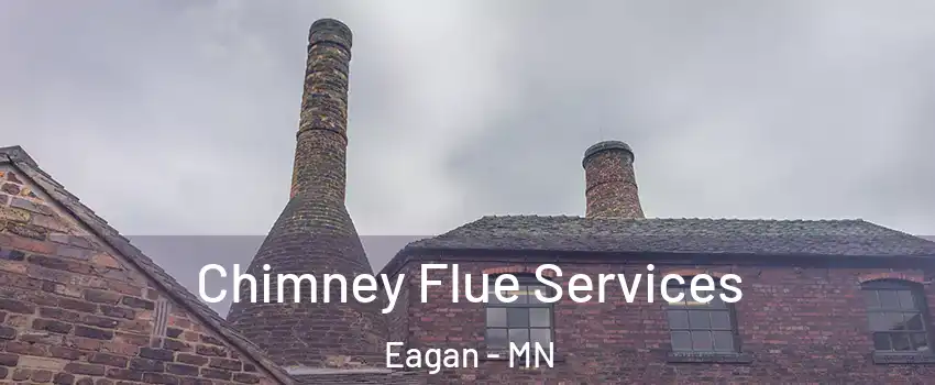  Chimney Flue Services Eagan - MN