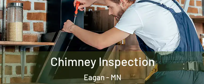  Chimney Inspection Eagan - MN