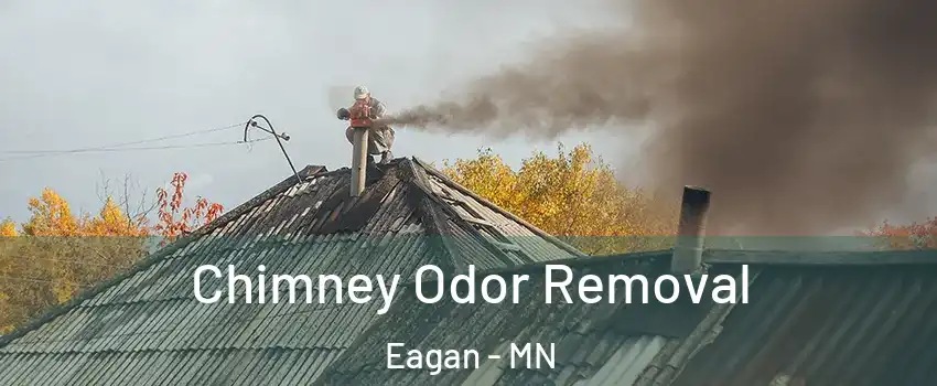 Chimney Odor Removal Eagan - MN