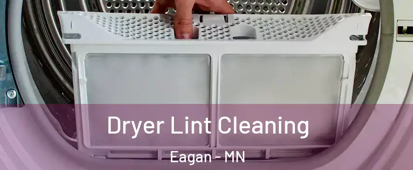  Dryer Lint Cleaning Eagan - MN