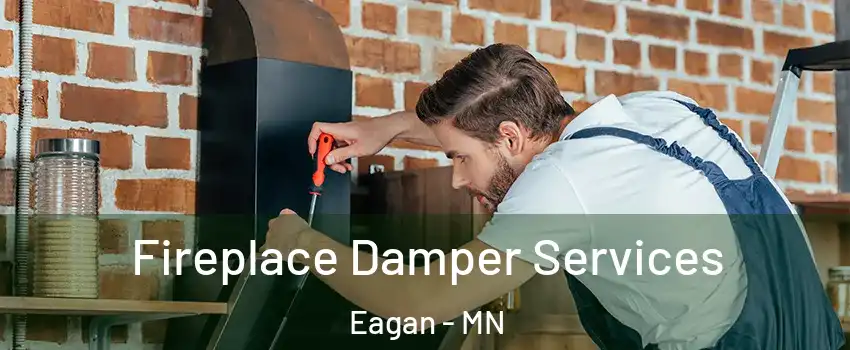  Fireplace Damper Services Eagan - MN