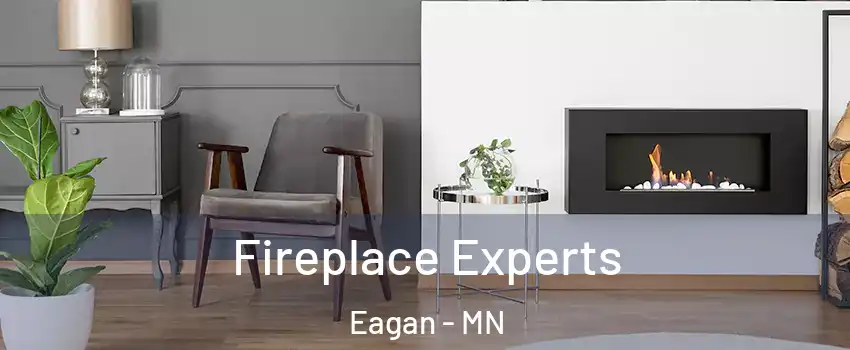  Fireplace Experts Eagan - MN