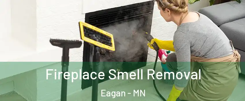  Fireplace Smell Removal Eagan - MN