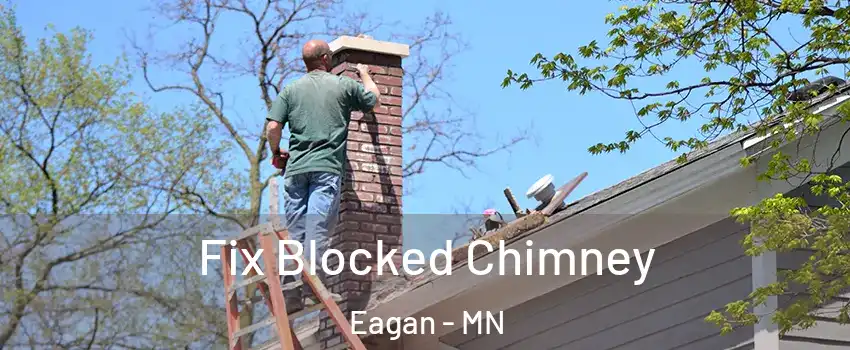  Fix Blocked Chimney Eagan - MN