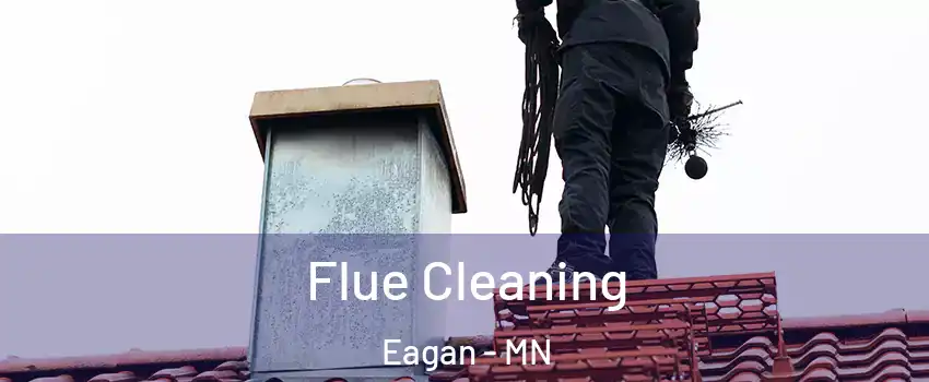  Flue Cleaning Eagan - MN