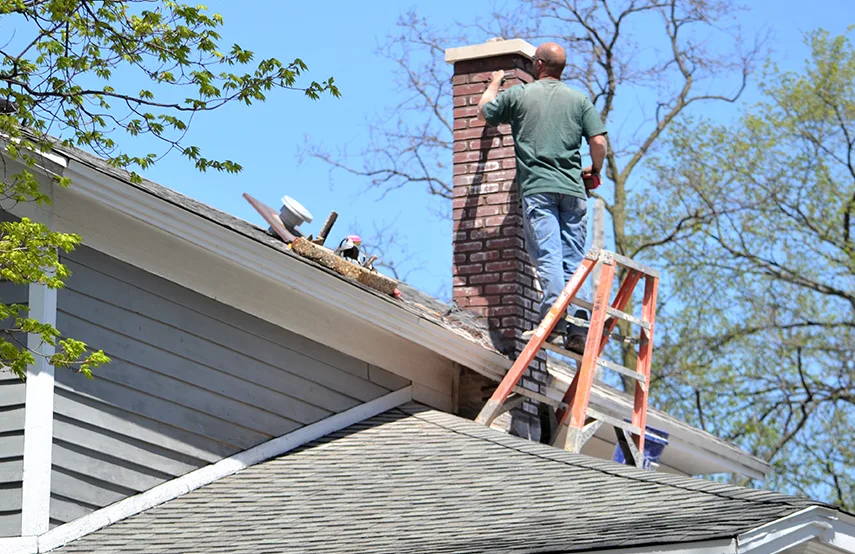 Chimney & Fireplace Inspections Services in Eagan, MN