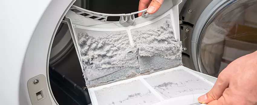 Best Dryer Lint Removal Company in Eagan, Minnesota