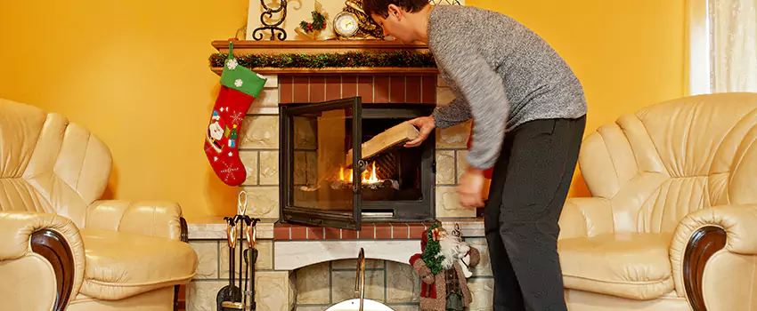Gas to Wood-Burning Fireplace Conversion Services in Eagan, Minnesota