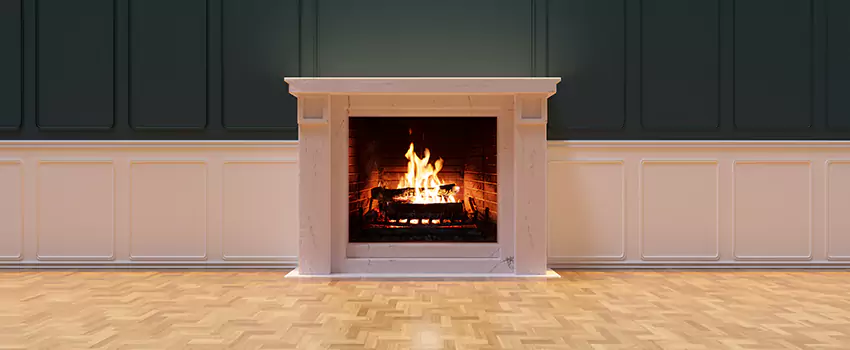 Napoleon Electric Fireplaces Inspection Service in Eagan, Minnesota