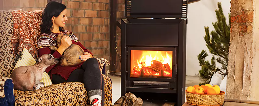 Wood Stove Chimney Cleaning Services in Eagan, MN