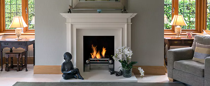 Astria Open-Hearth Wood Fireplaces Services in Eagan, MN