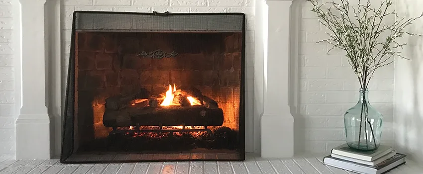 Cost-Effective Fireplace Mantel Inspection And Maintenance in Eagan, MN