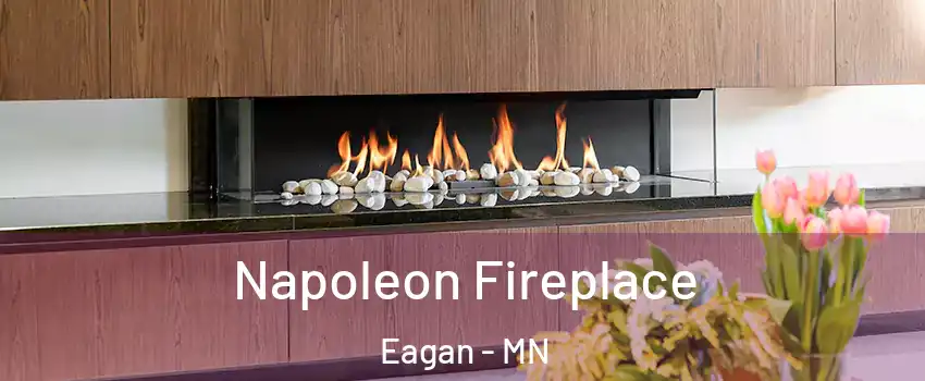  Napoleon Fireplace Eagan - MN