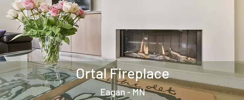 Ortal Fireplace Eagan - MN
