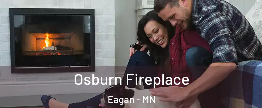  Osburn Fireplace Eagan - MN