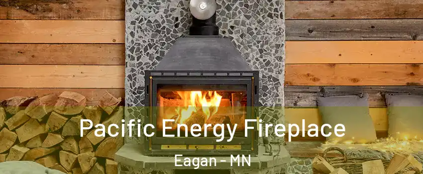  Pacific Energy Fireplace Eagan - MN